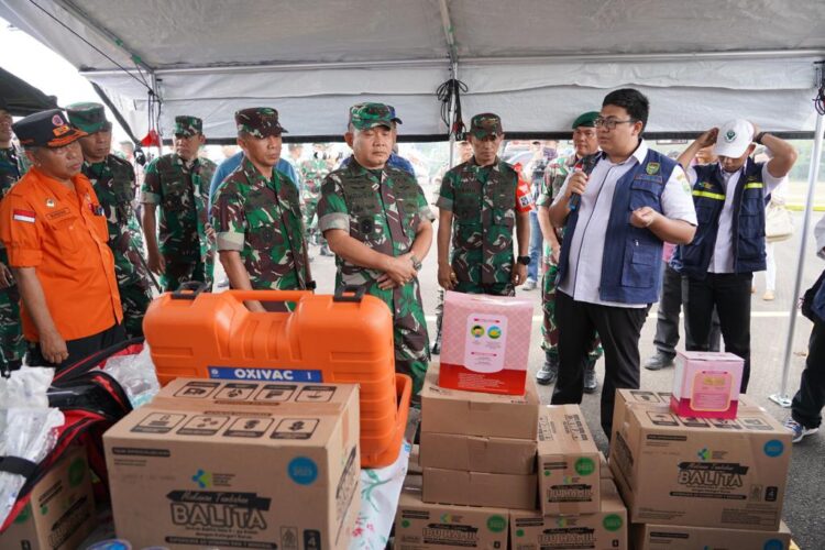 Kebakaran Hutan dan Lahan: Jenderal Dudung Abdurachman Cek Penanganan Karhutla di Sumsel